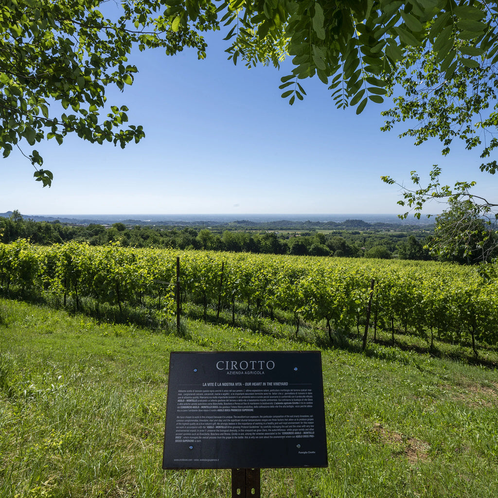 Asolo Prosecco Superiore DOCG Millesimato extra Dry  -  Cirotto - vaigustando