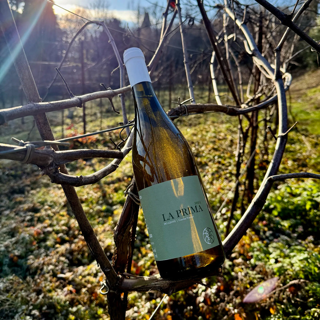 La Prima Souvignier Gris Veneto IGT  -  Tenuta Do Leoni - vaigustando