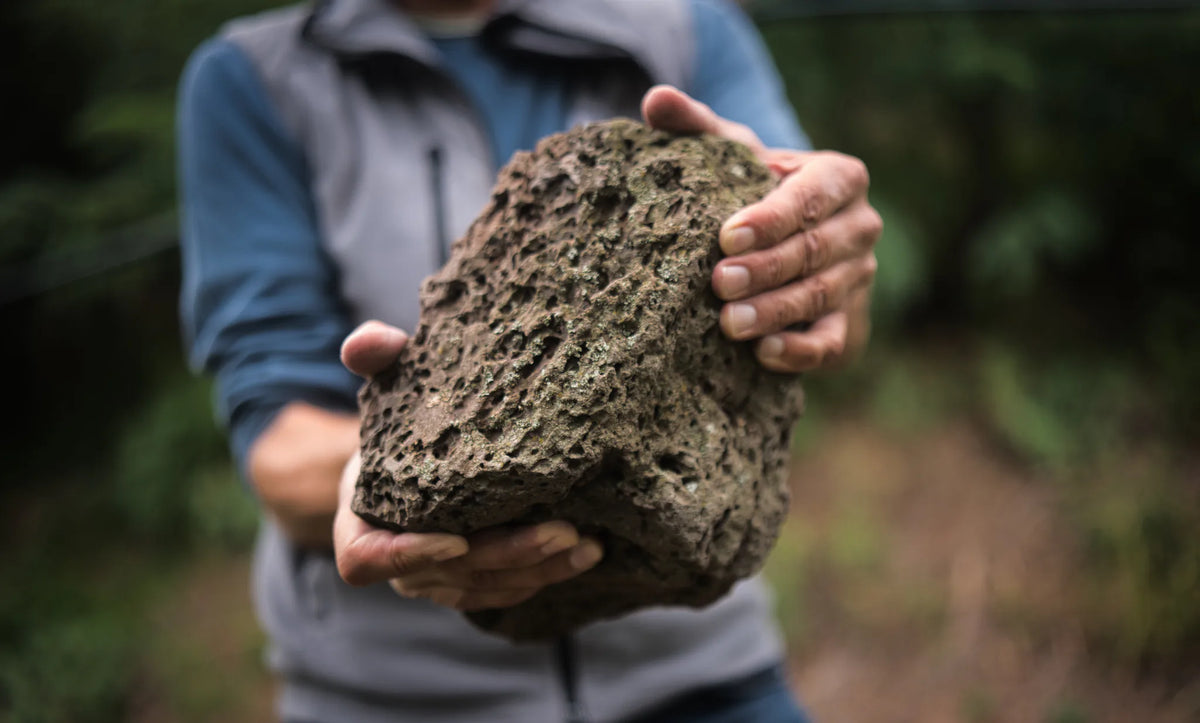 Gini terroir Soave suolo calcareo vulcanico