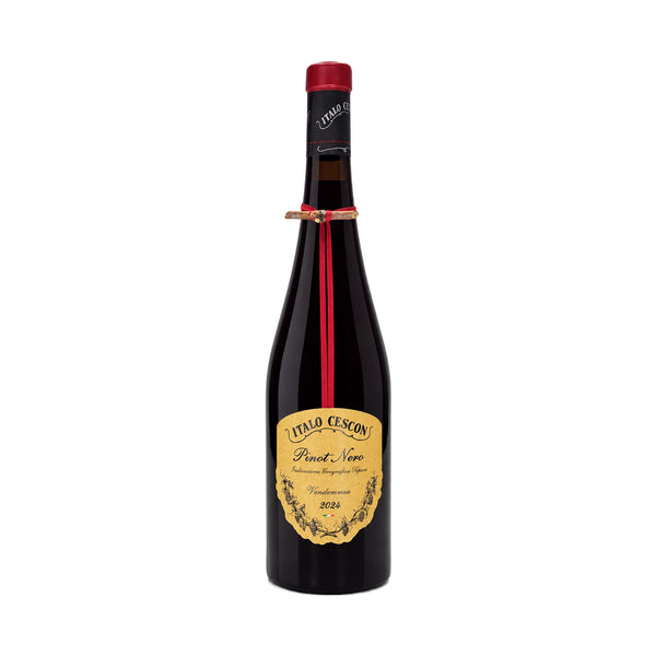 Pinot nero Veneto I.G.T.