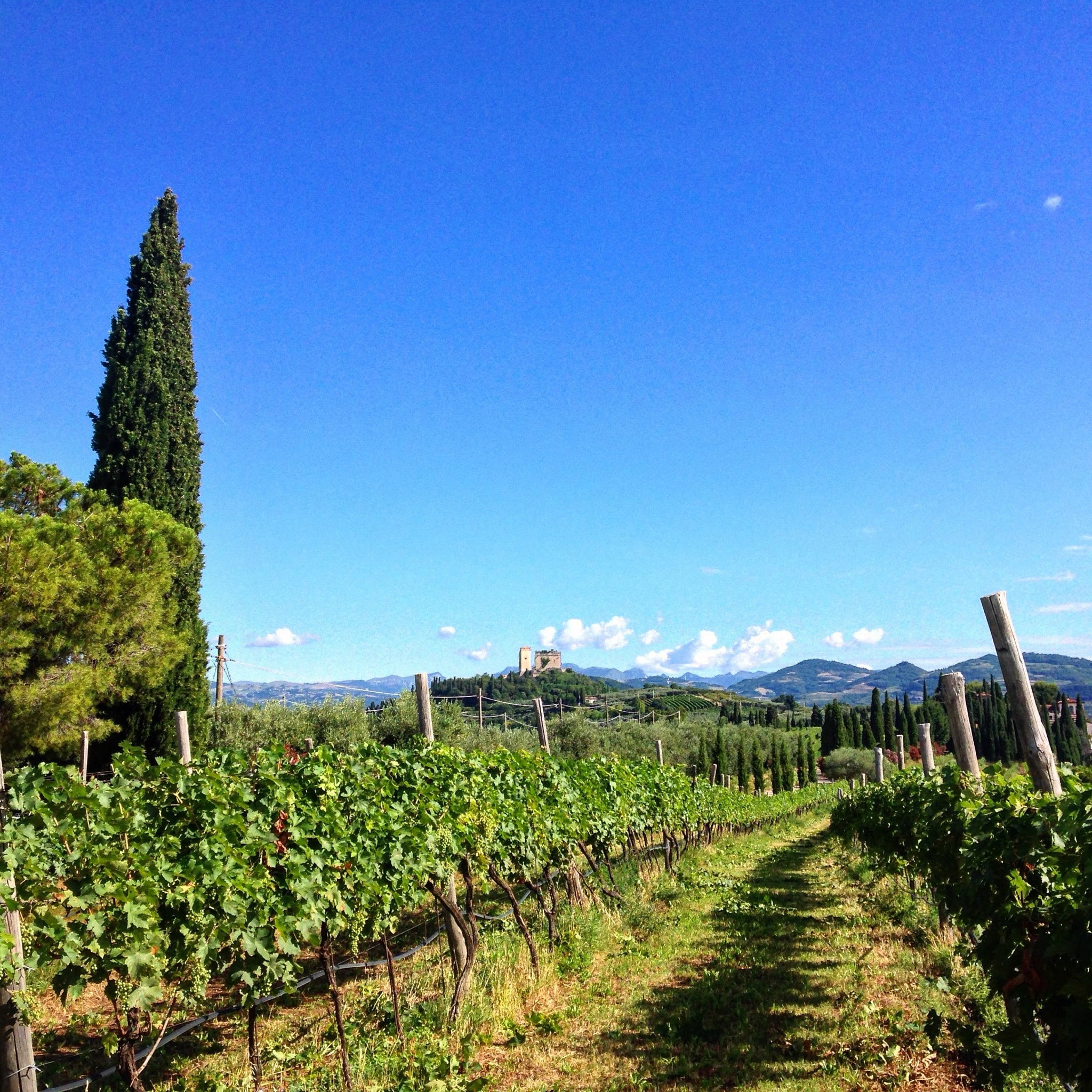 Valpolicella superiore Doc-Galante  -  Tenuta Trabucchi - vaigustando