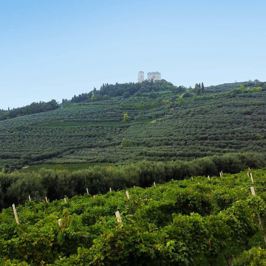 Valpolicella Superiore D.O.C.  -  Comaroto - vaigustando