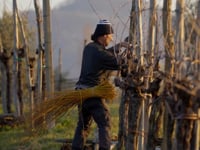 Spumante Duse Extra Dry annata 2022