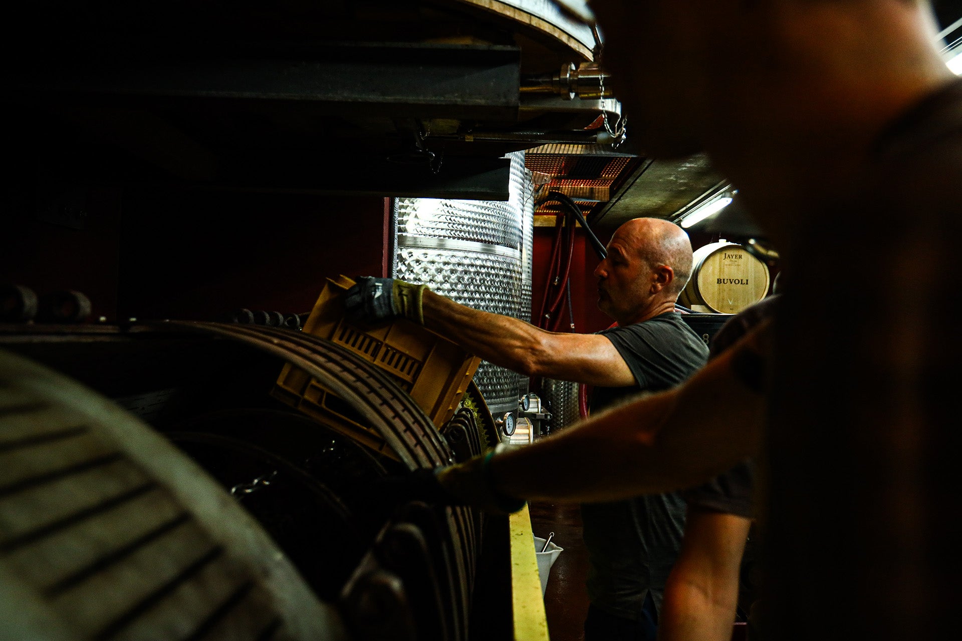 Pinot Nero - S  -  Buvoli - vaigustando